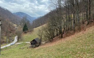 Teren intravilan 1.28ha Remeti–perfect pensiune/cabane, zonă turistica - Poză 6