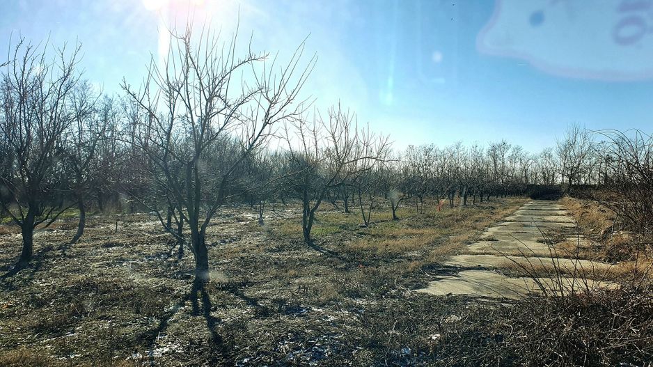 Vând teren intravilan 10 hectare Crevedia, cu gaze și curent. - Poză 12