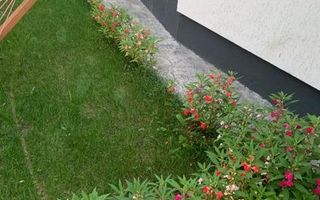 Casa individuala | Curte generoasa | Tunari | Teren 321 mp | Mobilata complet - Poză 4