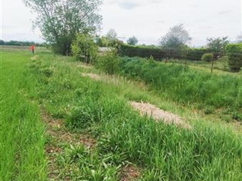 teren intravilan Stupini-Albinelor - Poză 9