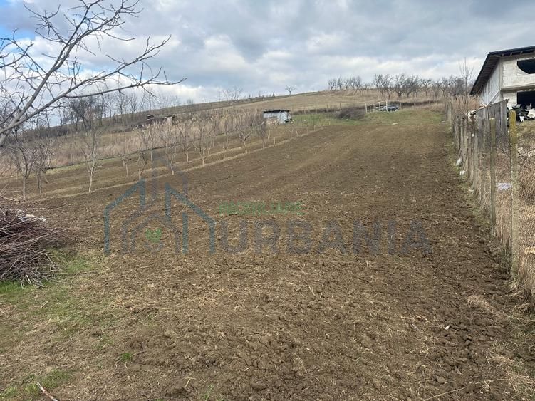 Teren intravilan 1724mp - Poză 4