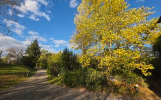 Reședință exclusivistă cu deschidere la Lacul Scroviștea - Poză 21