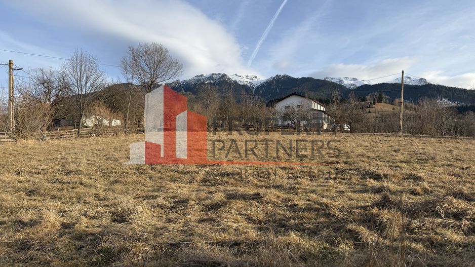 Teren 2110 mp Bran Poarta - Poză 3