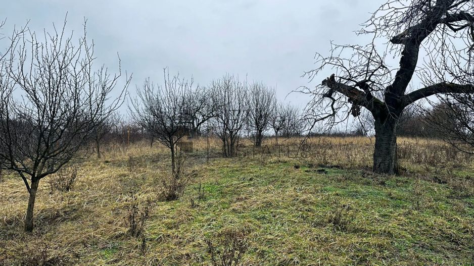 Teren intravilan 1765 mp cu panorama in Cartierul Podgoria - Poză 4