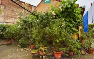 Apartament la casă cu 4 camere în Pârneava - Poză 14