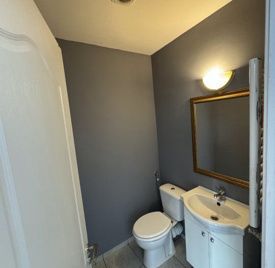 PROPRIETAR, Vand Apartament 3 camere, vila, Cismigiu - Poză 9