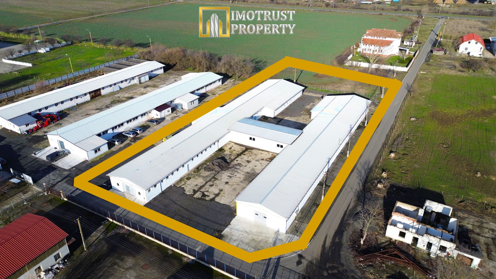 HALA INDUSTRIALA DE VANZARE | PECICA – ARAD - Poză 2