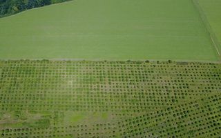 Teren Agricol, 11 HA, Bulăiești, Orhei - Poză 3