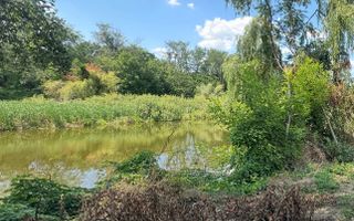 TEREN PIPERA CU DESCHIDERE LA LAC - Poză 3