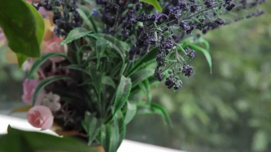 De Inchiriat Apartament 2 Camere AFI - Drumul Taberei - Poză 5