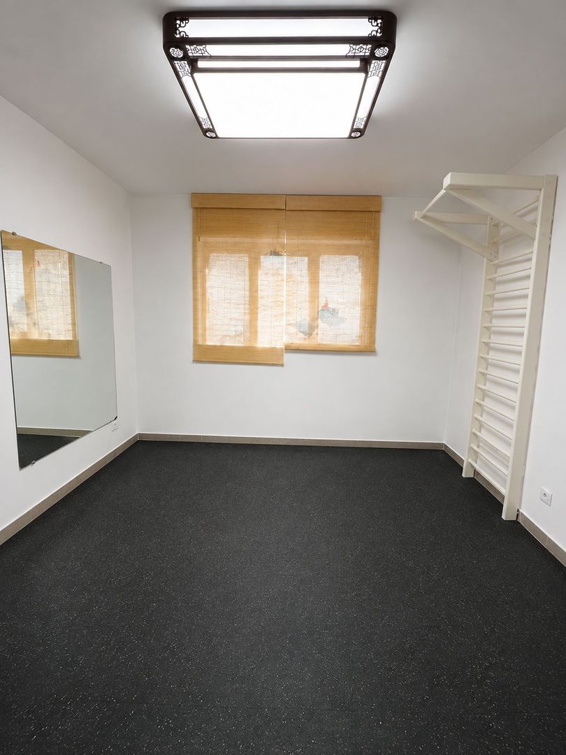 Vila 3 apartamente / 9 camere  Piata Unriii - Parcul Carol IM603 - Poză 8