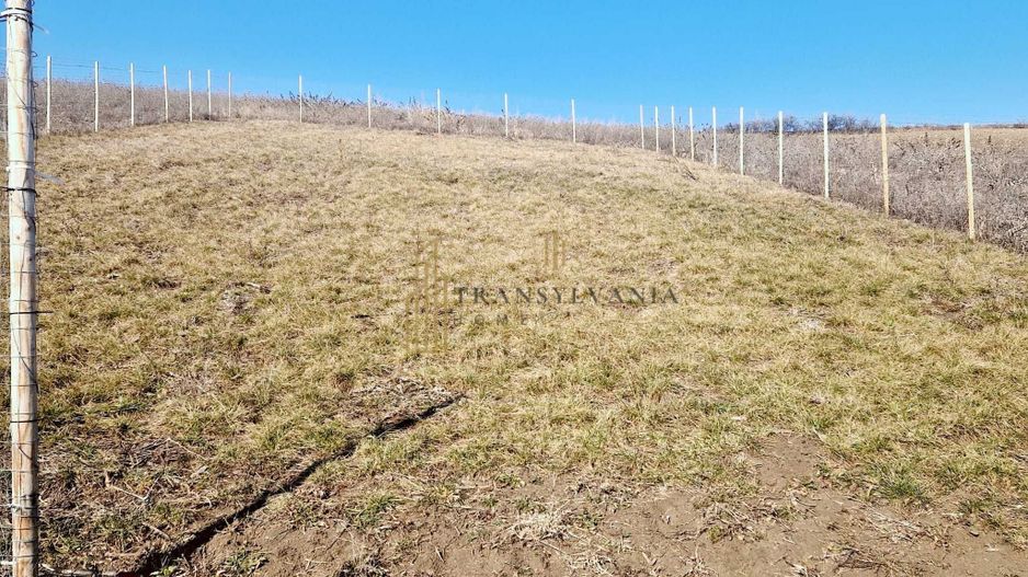 Teren cu priveliște superbă spre Sibiu și munți – Șura Mare - Poză 2