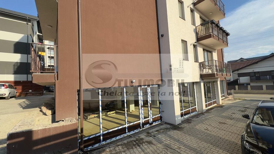 Spatiu comercial prin destinatie - 176mp - bucium - visan - Poză 8