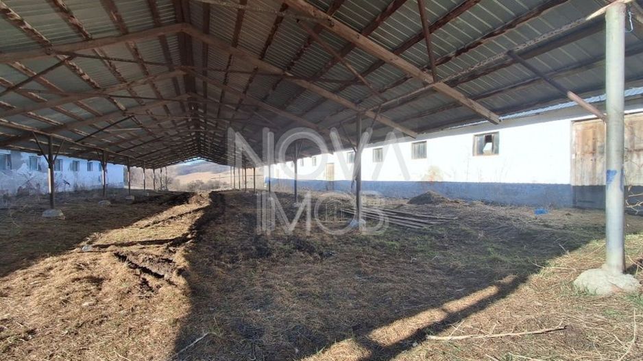 Ferma complet echipata de vanzare – zona Agnita, judetul Sibiu - Poză 9