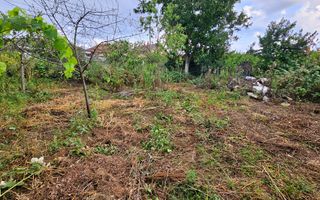 Casa 3 camere, 1000 teren la asfalt, Barabant - Poză 3