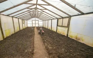 Vanzare ferma agricola Negru Voda - Constanta cu 240 hectare teren si utilaje - Poză 21