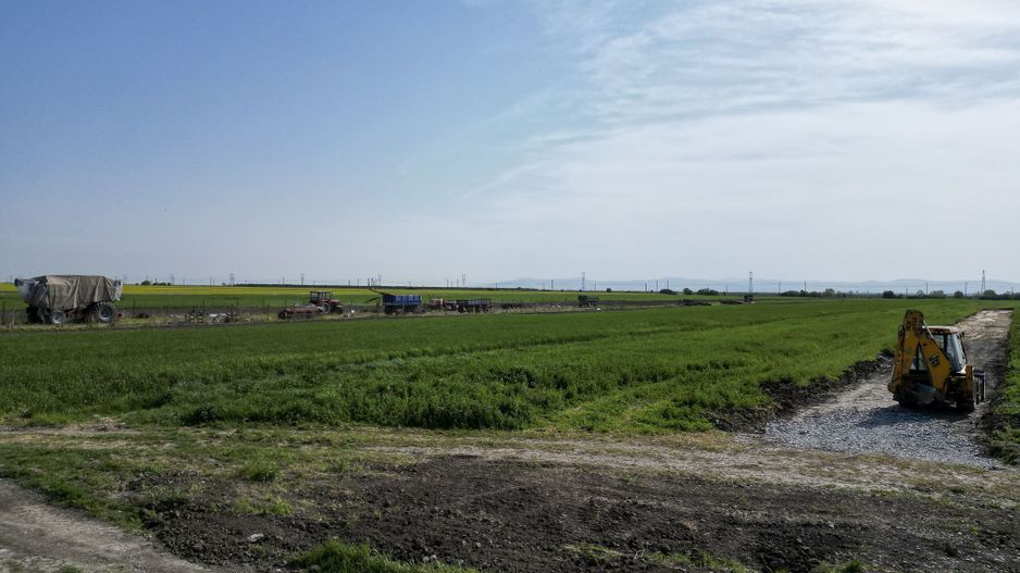 Loc de casa de 504 mp în Livada - Poză 8