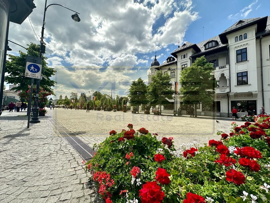 Spatiu 5 camere 120m ultracentral Pta Uniri - Independentei - Poză 37