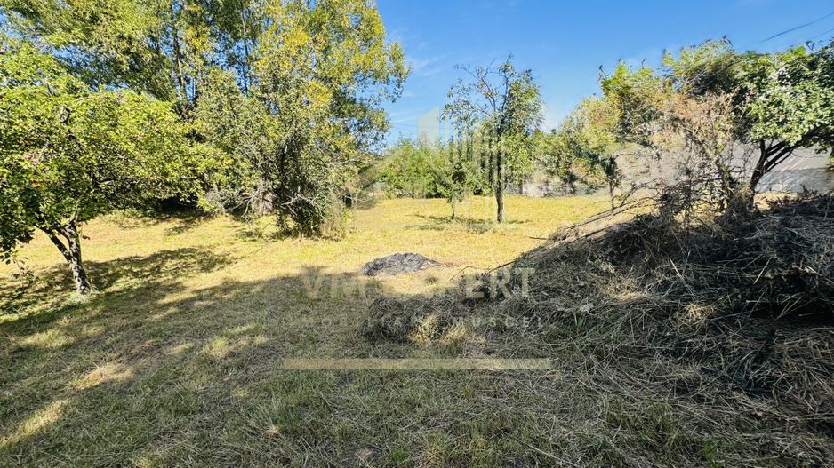 TEREN INTRAVILAN 3234 MP LEREȘTI VOINEȘTI ARGEȘ - Poză 30