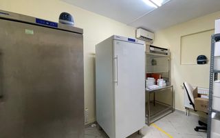 Spatiu bussines de 490mp intr-o vila pe 4 niveluri - Timisoara - Poză 8