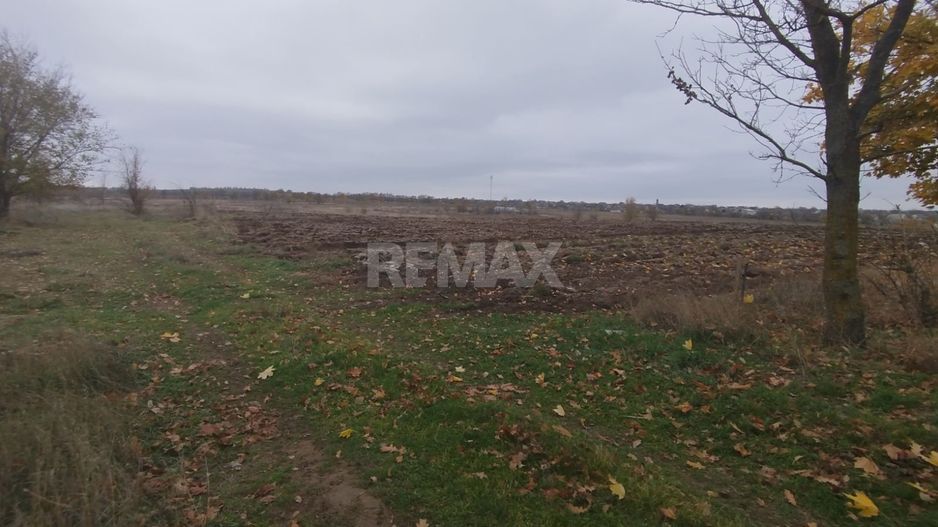 Teren pentru Construcție – 22 Ari | Oportunitate de Investiție | Chetrosu, Anenii Noi - Poză 6
