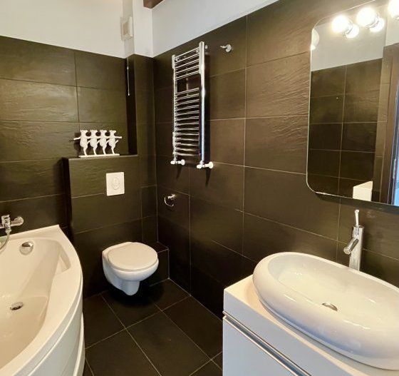 Unirii zona Marriott, Casa/Vila P+1+curte, Comercial sau Rezidential - Poză 12