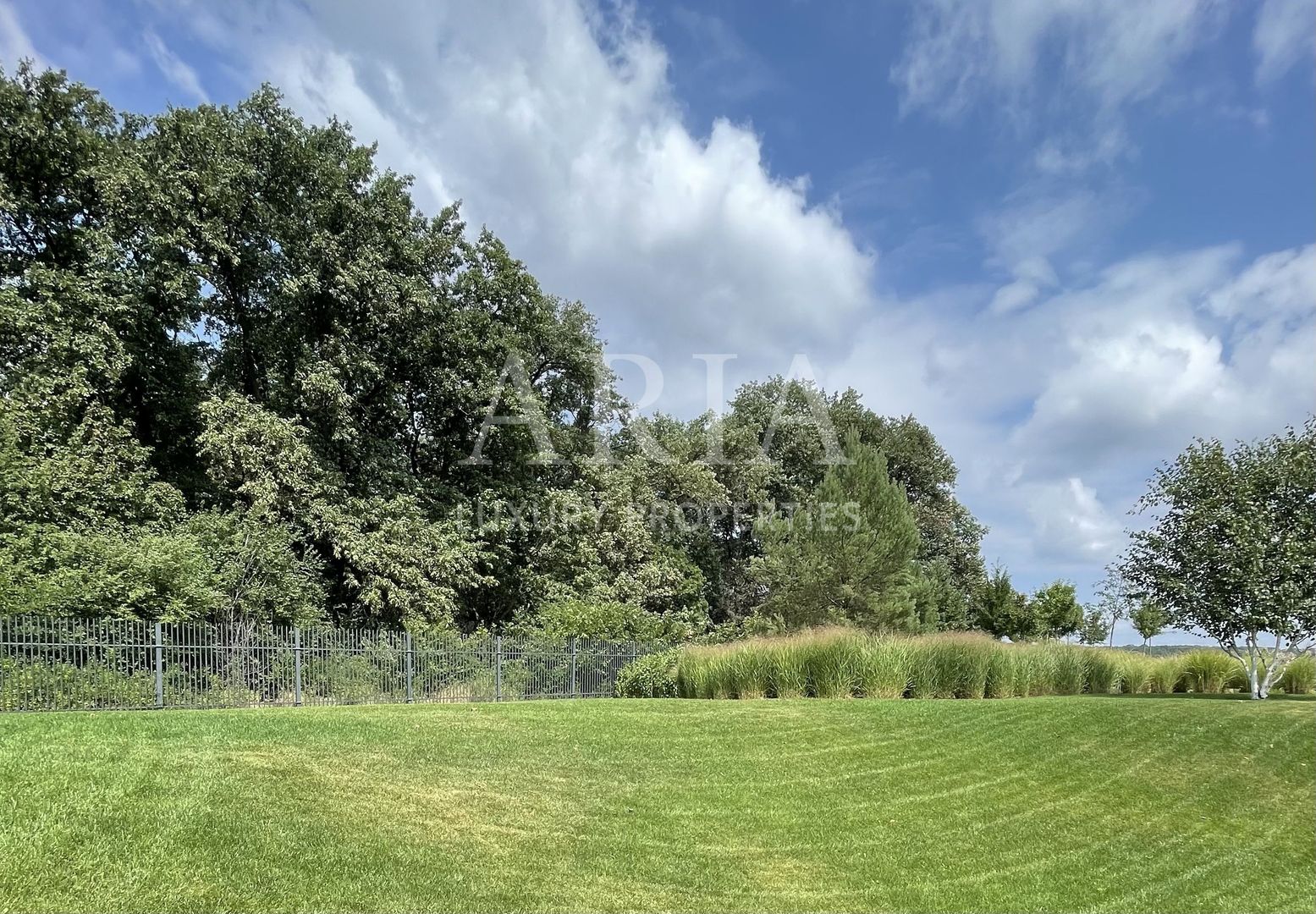 Dumbrava Vlasiei – Armonie între design, lumină și natură - Poză 9