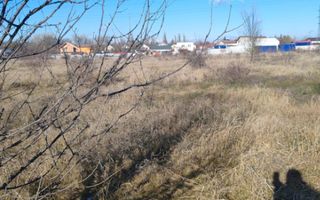 Teren Joita -  Bacu - Dragomiresti - Poză 4