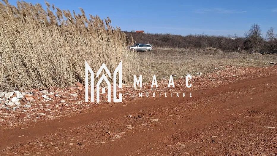 Teren Extravilan I 3400mp I Intabulat I Zona Dealul Daii - Poză 3