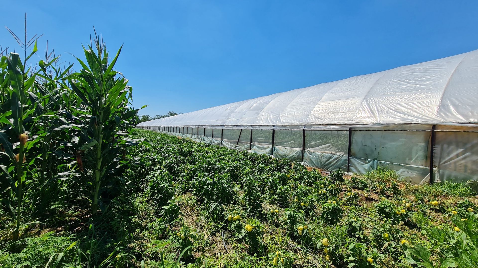 Afacere la cheie! Incasari din prima zi!!! - Poză 1