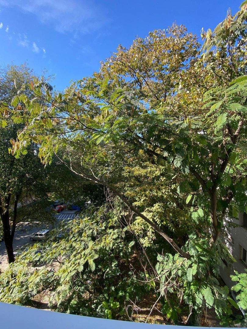 Giurgiu  ocazie- Aleea Alexandriei  ap 3 cam circular 4/4, - Poză 19