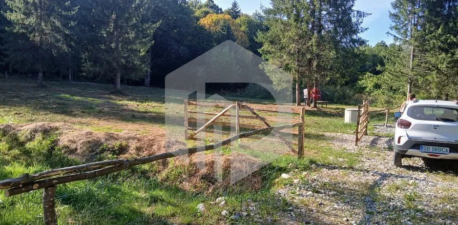 Teren Valea Avrigului- 900 mp- Intravilan+ Certificat de urbanism - Poză 1