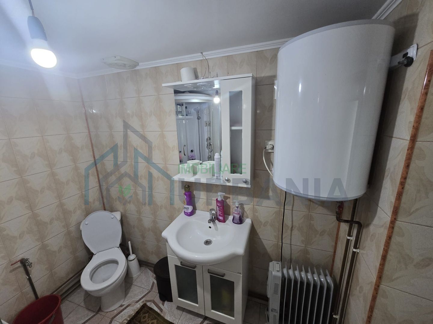 Casă cu teren de 1,4 hectare și vie, în Raducaneni - 3 camere - Poză 2
