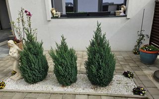 Casa moderna 4 camere 2 bai teren 500 mp terasa si pod in Selimbar - Poză 10