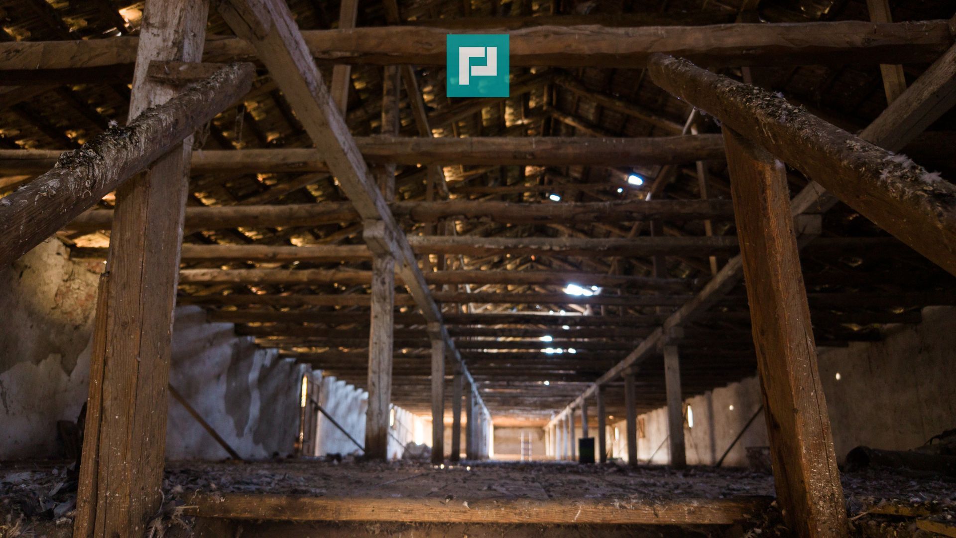 Hală industrială cu teren generos în Zărand, Arad - Poză 19