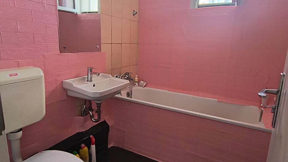 Ion Mihalache (1 Mai)- Domenii- Turda - Poză 4