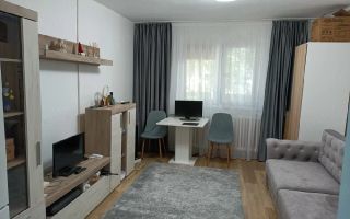 Garsonieră zona Buziasului renovata - Poză 1