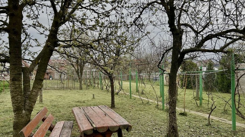 TEREN GENEROS 1000 MP - Poză 2