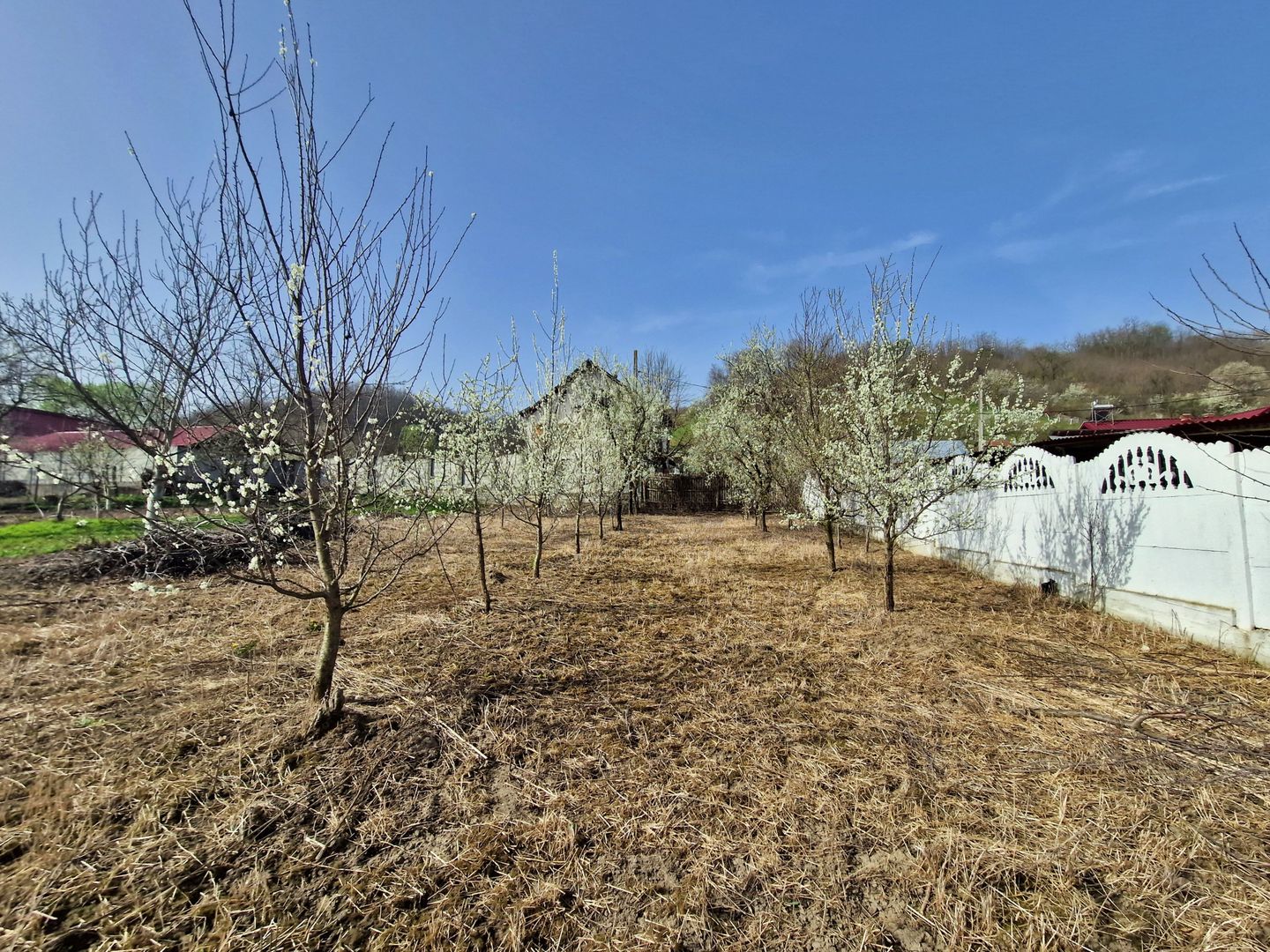 AZURA Imobiliare - Teren si Casa Micesti - Poză 3