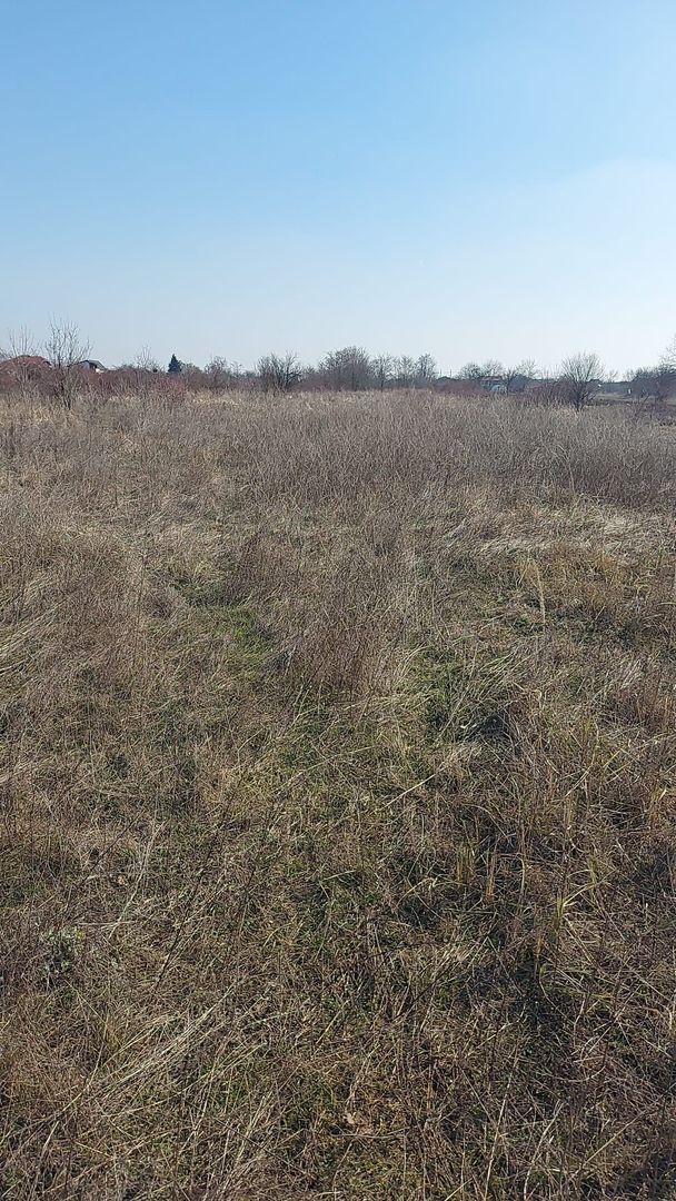 550mp teren intravilan in localitatea Pruni - oras Magurele -jud Ilfov - Poză 3