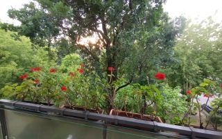 Apartament 3 camere | Zona Cloșca Careiului, Satu Mare - Poză 6