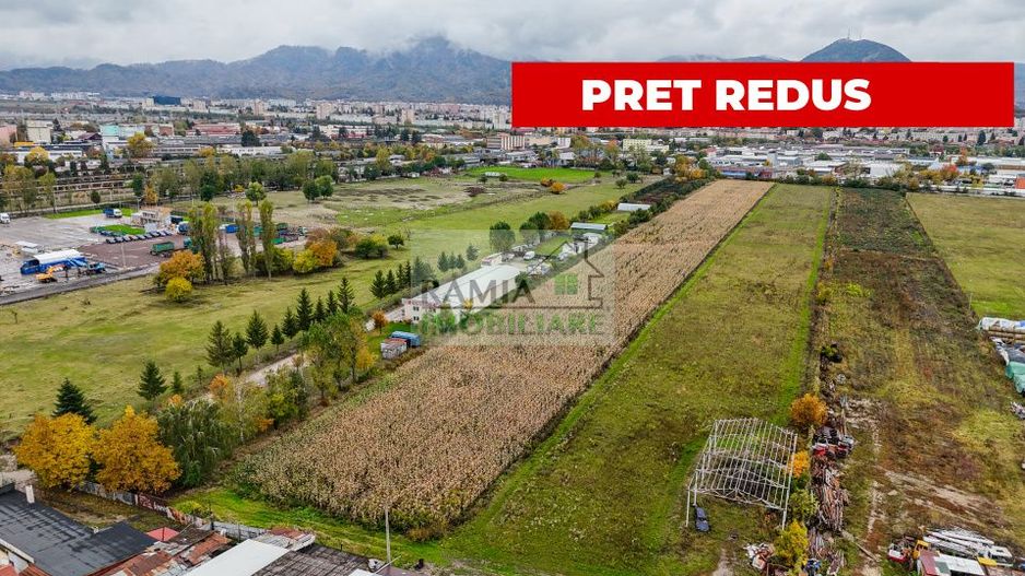Teren industrial- Timișul Sec oportunitate investițională - Poză 5