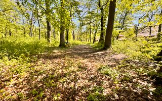 TEREN 7000 MP| DESCHIDERE 40 ML | INTRAVILAN-PADURE | POT 5% | TEREN UNIC | - Poză 7