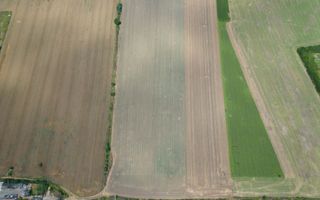 Teren extravilan 12.000 mp DN79 Arad-Oradea - Poză 4