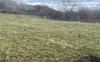 Teren Vladesti | 2311 mp | Intravilan +extravilan | - Poză 3