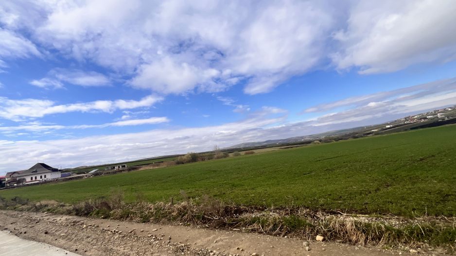 Teren de Vanzare 85 Ari I Suceava/Sf.Ecaterina I 354.000Euro - Poză 4