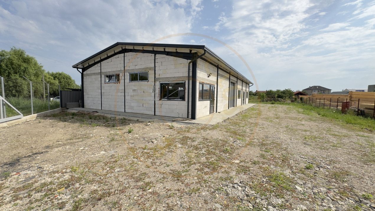 Inchiriere Hală Producție/Depozitare 300 mp, Teren 1791 mp - Carei - Poză 2