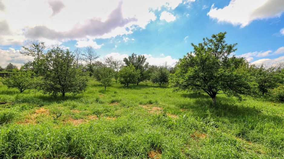 Casă boierească  de poveste- 7000 mp teren - Poză 81