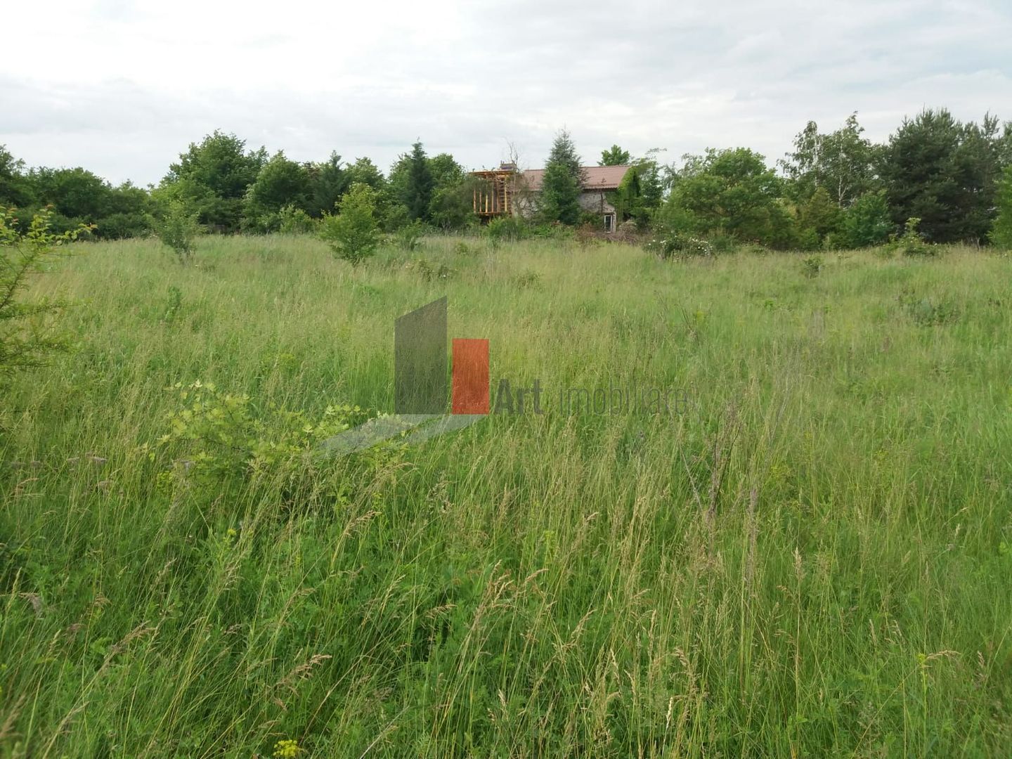 Teren Buftea cu iesire la lac - Poză 26