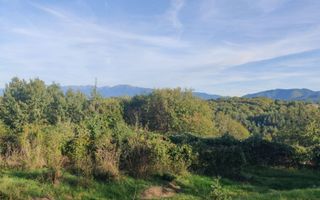 Teren Cisnadioara | Intravilan | 1.970 Mp - Poză 3